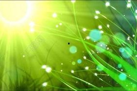 娱乐吃瓜视频背景素材,吃瓜视频背后的精彩故事